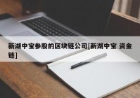 新湖中宝参股的区块链公司[新湖中宝 资金链]