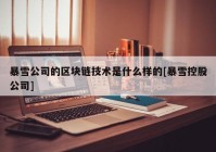 暴雪公司的区块链技术是什么样的[暴雪控股公司]