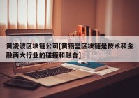 黄凌波区块链公司[黄锫坚区块链是技术和金融两大行业的碰撞和融合]